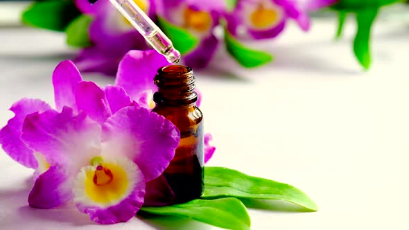 Orchid Essential Oil in a Small Bottle