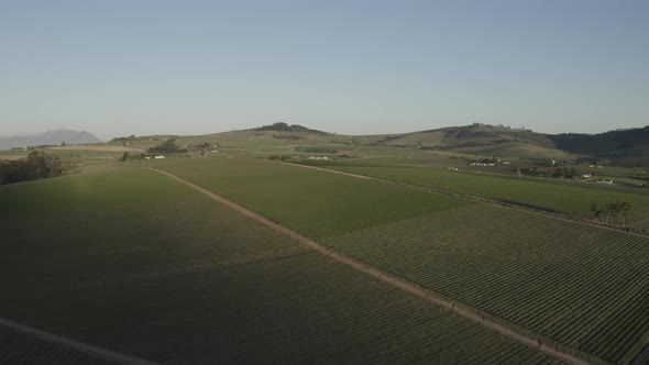 Aerial vineyard farm landscape with dirt road and hills, Stellenbosch, drone