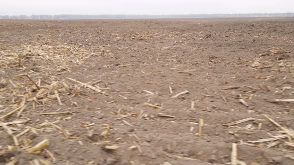 Land in a Plowed Field in Autumn