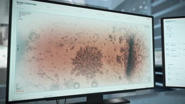 Microbiological Research of the white blood cell structure at modern laboratory