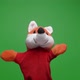 Funny soft fox doll on green background, hand with plushie glove puppet toy - VideoHive Item for Sale