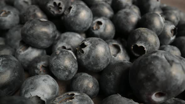 Blueberries 23