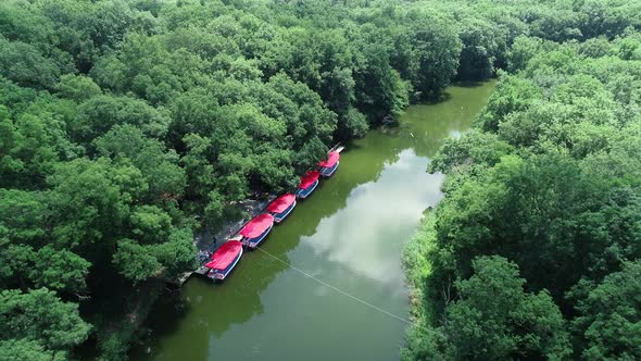 Aerial view of boats for trip on the river. Ropotamo river, Bulgaria.