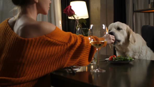 Caring Woman Feeding Dog Pet From Own Plate