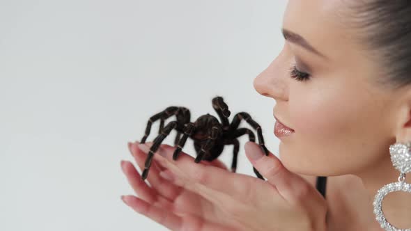 Big Black Spider on in Woman Hands