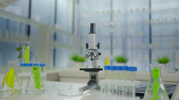 Modern Laboratory Plant Research Microscope and Test Tubes with Plants Nobody