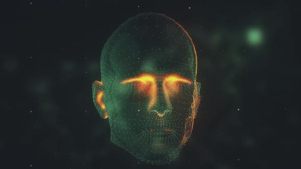 3D Face Head Scanning