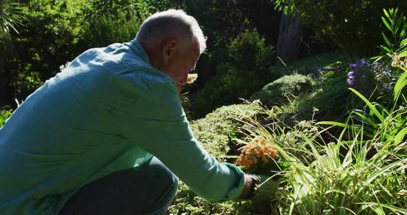 Caucasian senior couple planting in their garden and talking in the sun