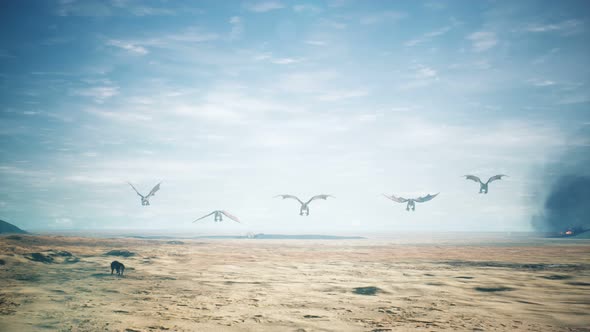 Dragons Flying Over Vast Desert