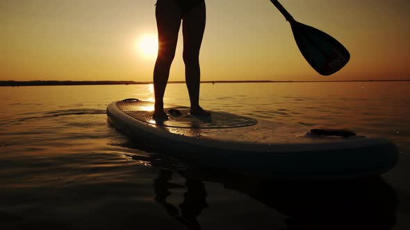 Siluet of Woman Standing Firmly on Inflatable SUP Board and Paddling Through Shining Water Surface