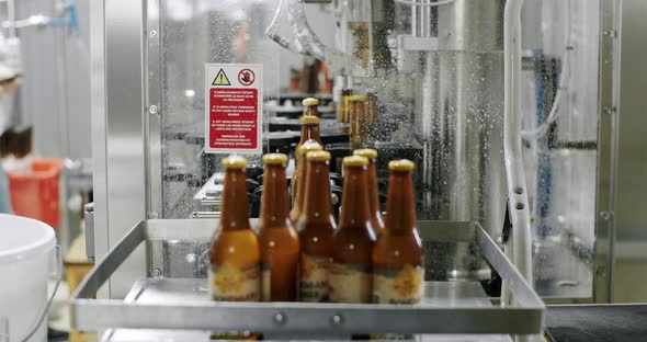Factory brewery concept Capping process of full beer bottles.