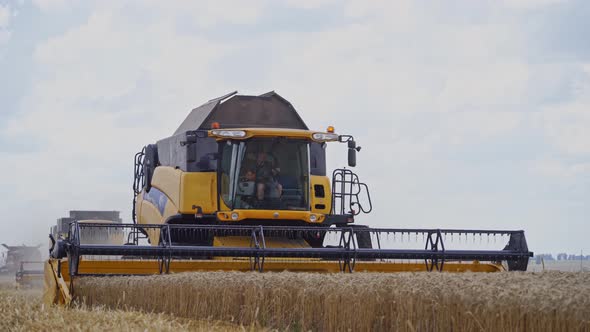 Farming and agriculture harvesting. Harvesting of wheat field with combine