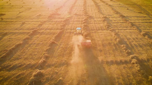 Aerial View of Tractor with Hay in the Field. Bales of Hay Stacked in the Trailer. Agricultural Work