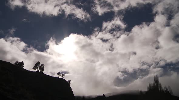 Silhouette of Trees on a Hillside in Patagonia, Argentina.