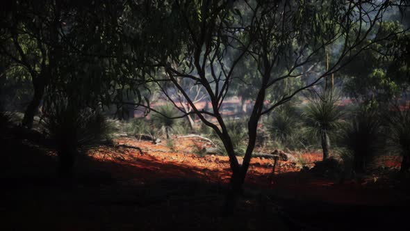 Kimberley Region of Western Australia