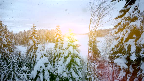 Aerial View of Nature Environment Scenery Landscape Outdoors during Snowfall in Christmas Time alt