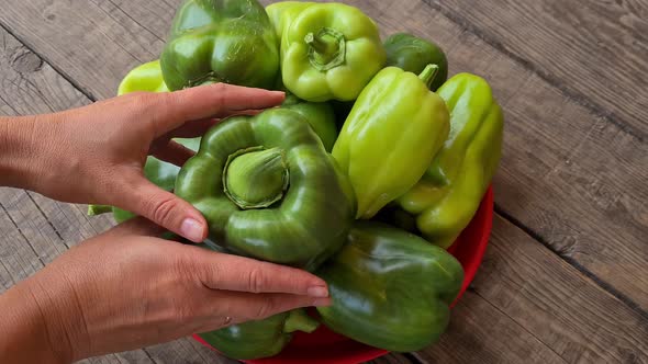 women's hands put green peppers on a tray