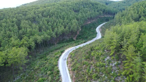 Mysterious Trail in the Forest Filmed on a Drone