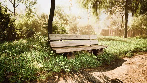 Wooden Bench in Nature By the Tree alt