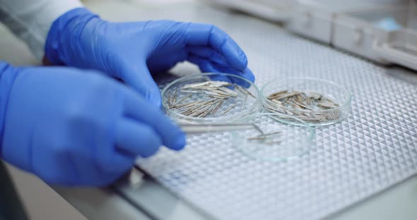 Doctor Sorts Medical Instruments at Healthcare Clinic