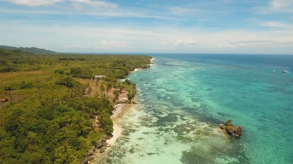 Tropical Beach and Turquoise Sea PhilippinesBohol