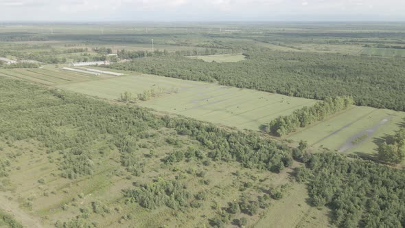 Aerial drone view flight over different agricultural fields sown in Samegrelo, Georgia