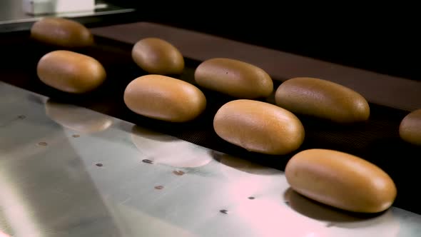 Loaves of Bread and Loaves of Bread on the Production Line in the Bakery