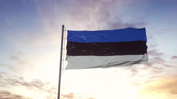 Estonia Flag Waving in the Wind Dramatic Sky Background