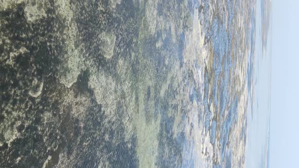 Zanzibar Tanzania  Vertical Video of Low Tide in the Ocean Near the Coast Slow Motion