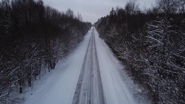 Aerial view of winter road alley surrounded by snow covered trees in overcast winter day, small snow