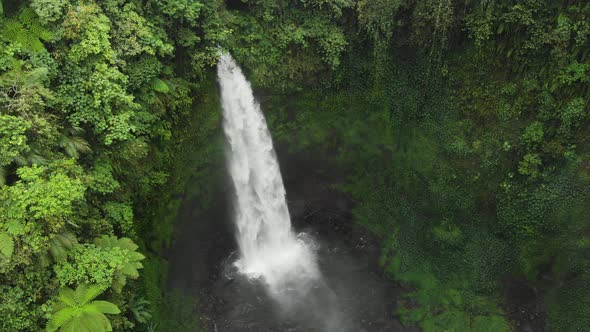 aerial view waterfall in green rainforest. tropical waterfall in mountain jungle. Bali,Indonesia.