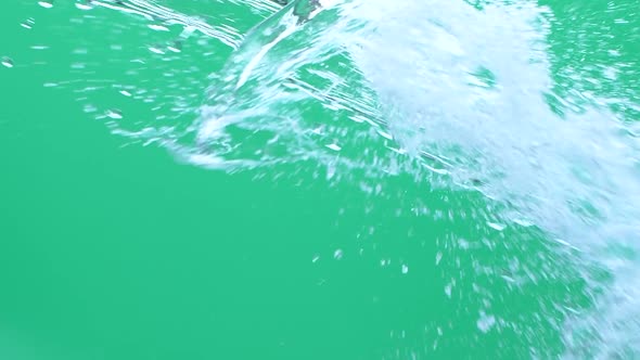 Slow Motion of Water Spash with Drops Over Green Screen Chroma Key Background