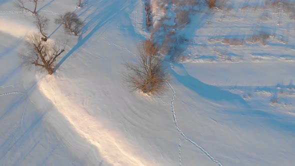 Footprints Path In The Snow