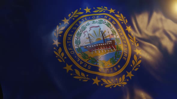 New Hampshire State Flag