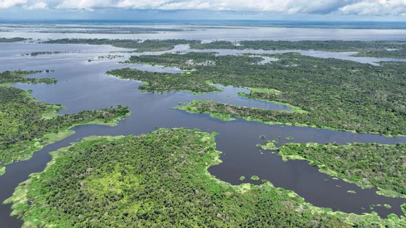 Stunning landscape of Amazon Forest at Amazonas State Brazil.