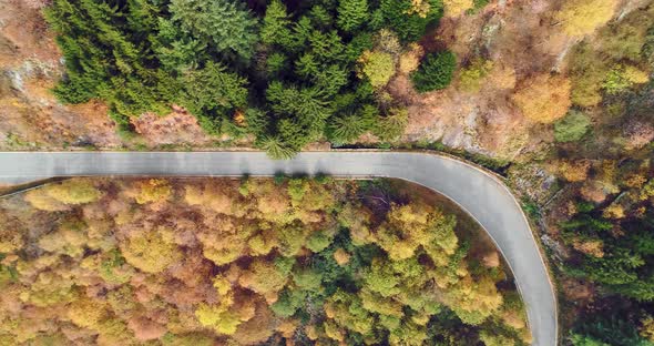 Overhead Aerial Top View Over Road in Colorful Countryside Autumn Forest