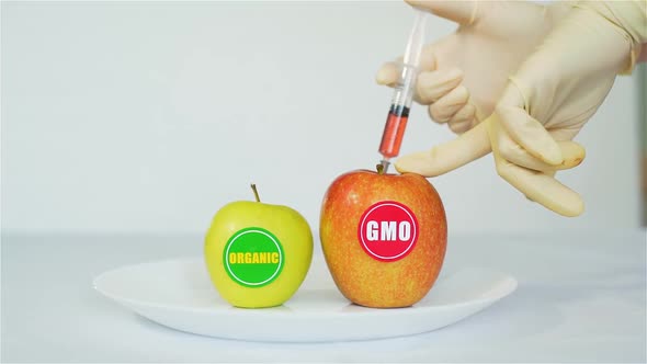 GMO Apple with Injection Over Organic Apple