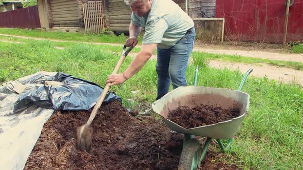 A Sloppy Man Pours Humus or Compost Into a Cart with a Shovel