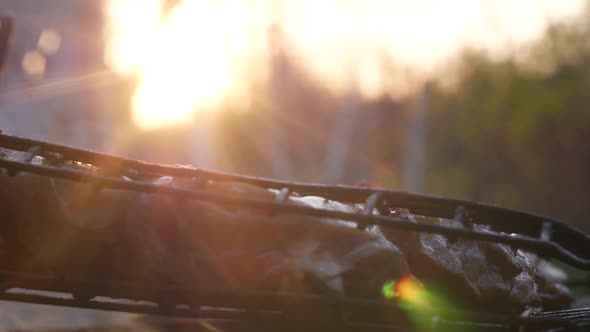 Barbecue At Sunset