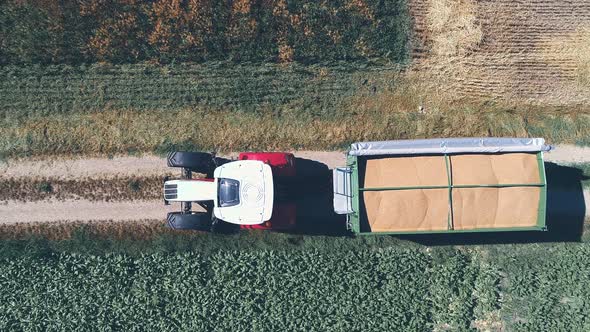 Tractor With Trailer With Grain