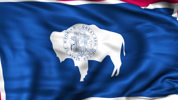 Wyoming State Flag