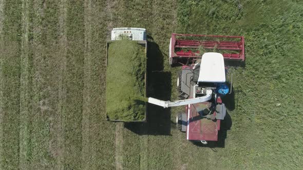 Top down aerial view of Combine harvesting and truck on field. 19