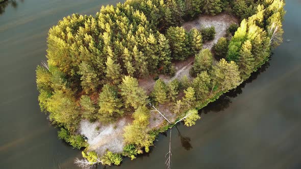 Aerial View of Small Island with Pine Trees in the Middle of the Lake