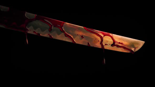 Sword Blade Reflects Fire And Drips Blood