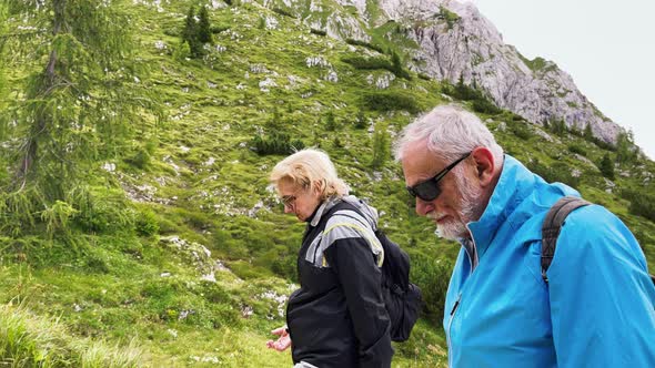 Elderly Couple During a Mountain Excursion in the Alps Summer Season