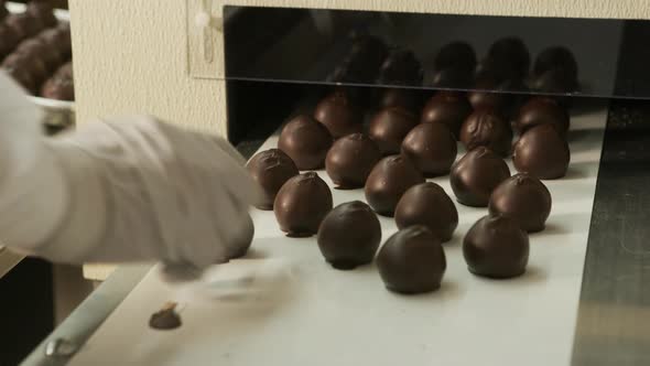 Chocolate truffles on a conveyor belt at candy factory