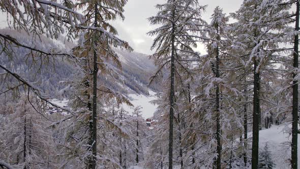 The Village of Tasch in Switzerland in the Winter Aerial View