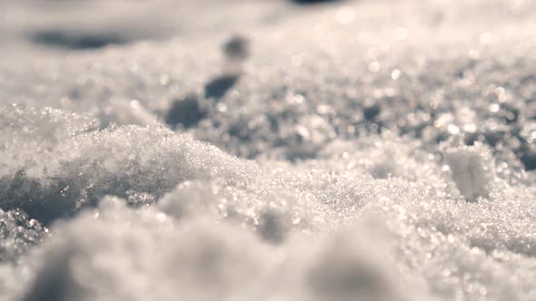 Snow Close Up at Sunset