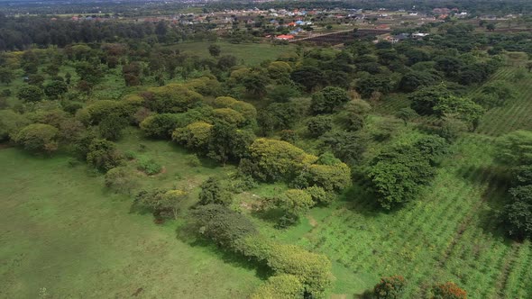 aerial view of the nature side of Arusha, Tanzania