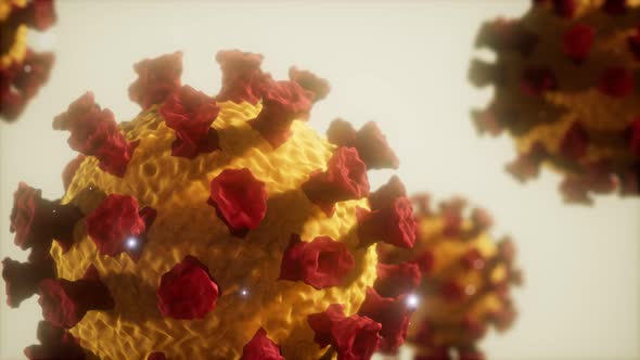 Corona Virus Covid 19 Macro Model alt